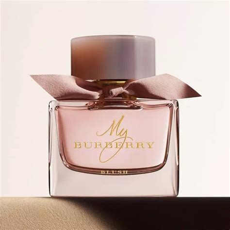 burberry fragrances site thebay.com|burberry fragrance women.